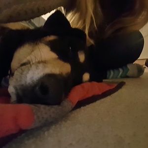 Meet your Posher, Erin